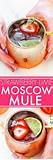 Drink Recipe Moscow Mule Photos
